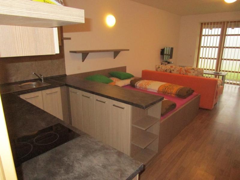 Apartman Ricky V Orlickych Horach Wüstenei Eksteriør billede